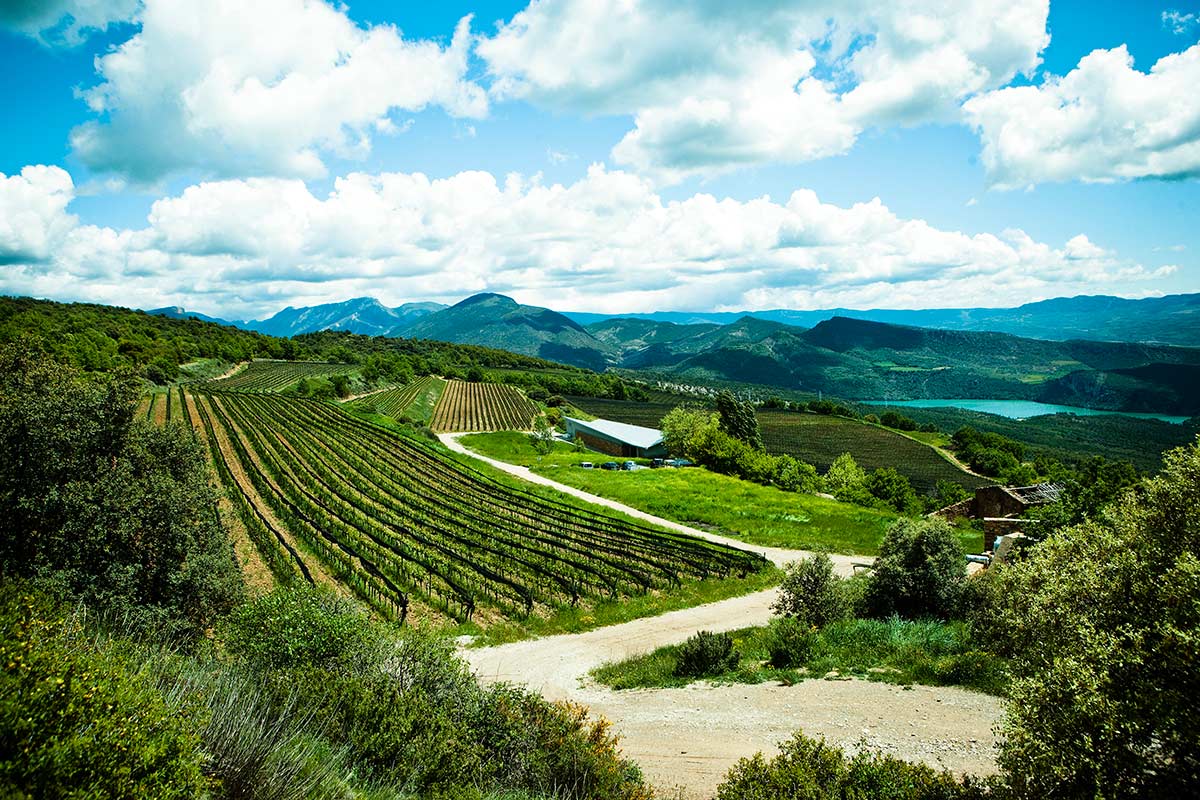 Wine by the winery Castell D'Encús.